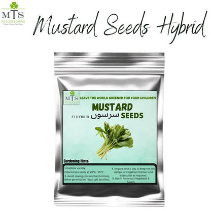Mustard Seeds (Sarson) – F1 Hybrid Seeds for Home Gardening - Win Bachat
