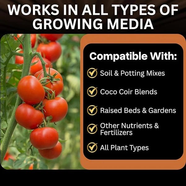 MYKOS Pure Mycorrhizal Inoculant – 100 g Root Enhancer - Win Bachat