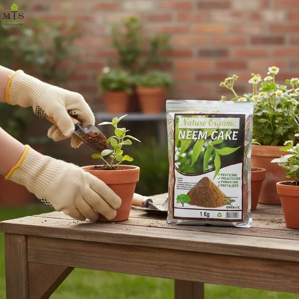 Nature Organic Neem Cake 1KG – Organic Fertilizer & Soil Conditioner - Win Bachat