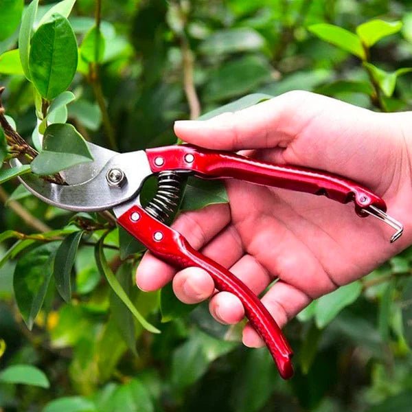 NKTOP Garden Scissors 8 Inch (200mm) – Heavy Duty Pruning Shears - Win Bachat