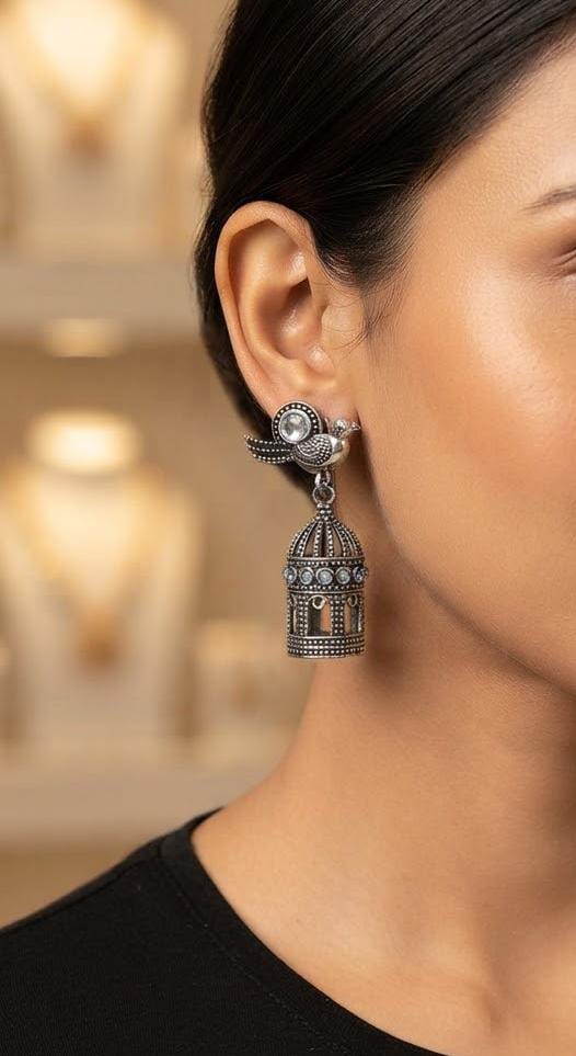 Oxidized Silver Bird Cage Jhumka Earrings for Women - Win Bachat