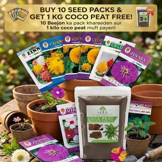 Pack of 10 Random Summer Flower Seeds with 1KG Coco Peat – Gardening Combo Offer - Win Bachat
