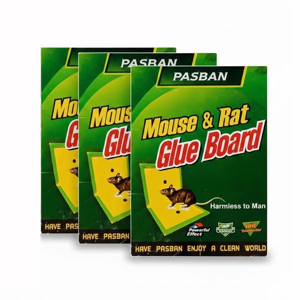 Pasban Mouse & Rat Glue Board – Pack of 3 - Win Bachat