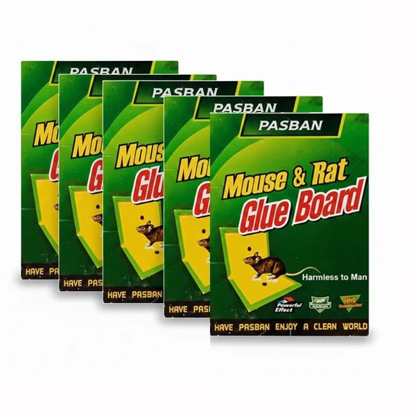 Pasban Mouse & Rat Glue Board – Pack of 5 - Win Bachat