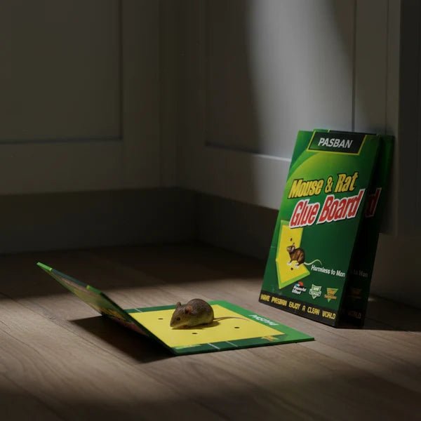 Pasban Mouse & Rat Glue Board – Pack of 5 - Win Bachat