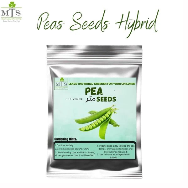 Peas Seeds (Matar) – F1 Hybrid Vegetable Seeds for Home Gardening - Win Bachat