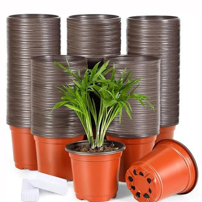 Plastic Paper Pots – Seed Starter & Nursery Plant Pots - Win Bachat