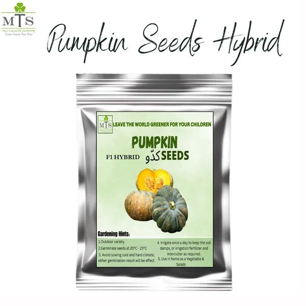 Pumpkin Seeds (Kaddu) – F1 Hybrid Vegetable Seeds for Home Gardening - Win Bachat