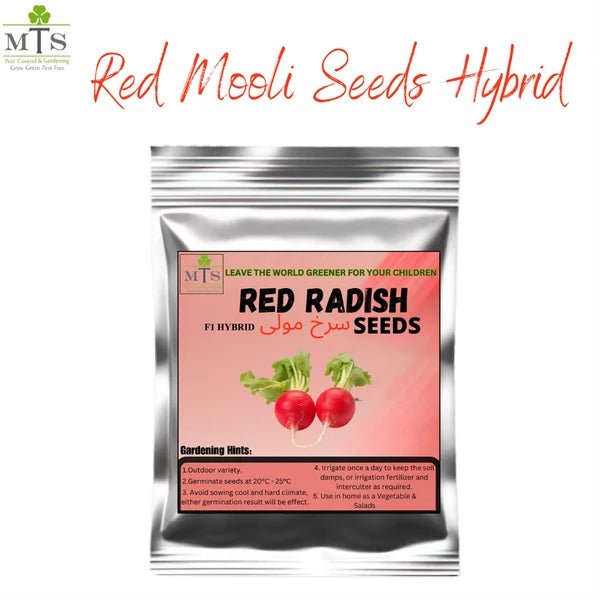 Red Radish Seeds (Lal Mooli) – F1 Hybrid Vegetable Seeds - Win Bachat
