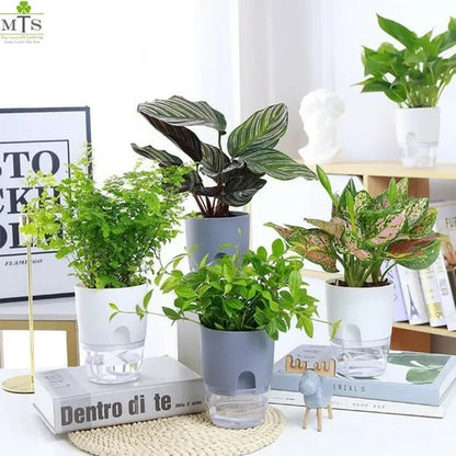 Round Self Watering Plant Pot with Water Reservoir – Pot Only - Win Bachat