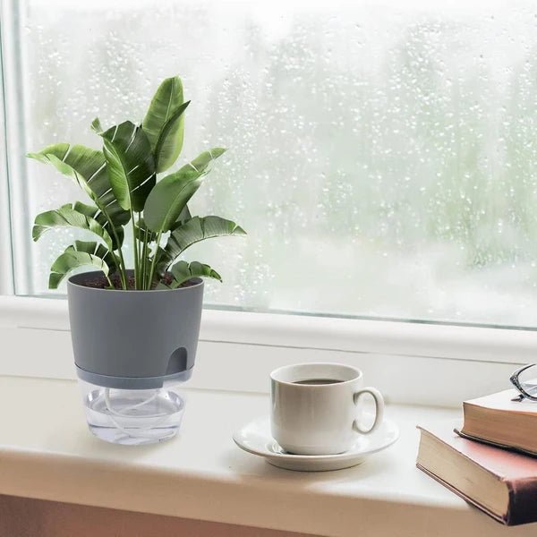 Round Self Watering Plant Pot with Water Reservoir – Pot Only - Win Bachat