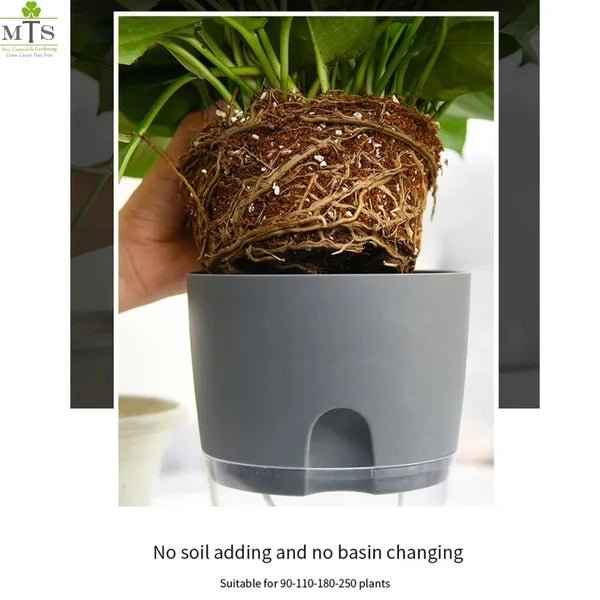 Round Self Watering Plant Pot with Water Reservoir – Pot Only - Win Bachat