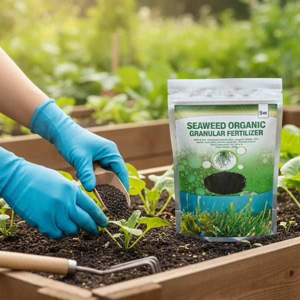 Seaweed Organic Granular Fertilizer 500g – Plant Growth Booster - Win Bachat