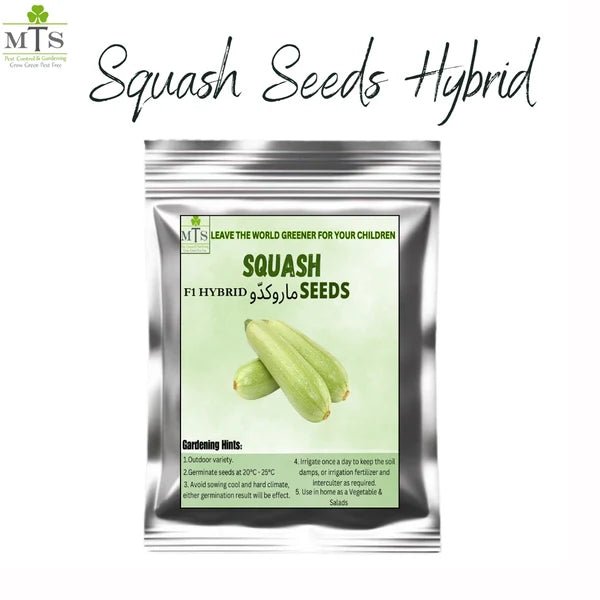 Squash Seeds – F1 Hybrid Vegetable Seeds for Home Gardening - Win Bachat
