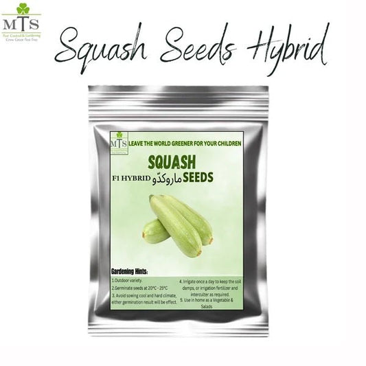Squash Seeds – F1 Hybrid Vegetable Seeds for Home Gardening - Win Bachat