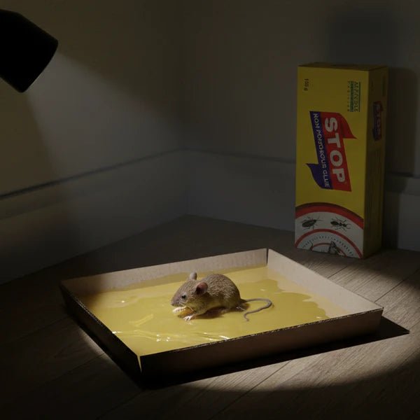 STOP Non-Poisonous Mouse & Rat Glue 135g - Win Bachat
