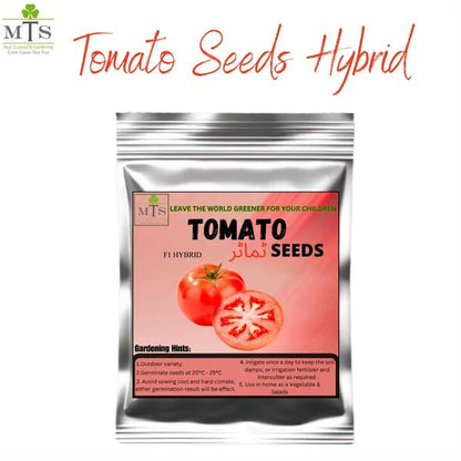 Tomato F1 Hybrid Seeds – Vegetable Seeds for Home Gardening - Win Bachat
