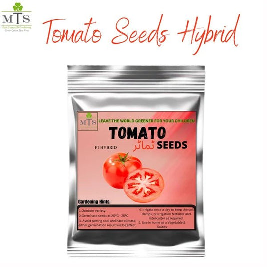Tomato F1 Hybrid Seeds – Vegetable Seeds for Home Gardening - Win Bachat