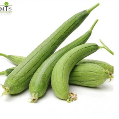 Turayi Seeds (Ridge Gourd) – F1 Hybrid Vegetable Seeds - Win Bachat