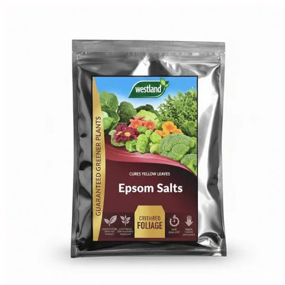 Westland Epsom Salts 500g – Magnesium Plant Supplement - Win Bachat