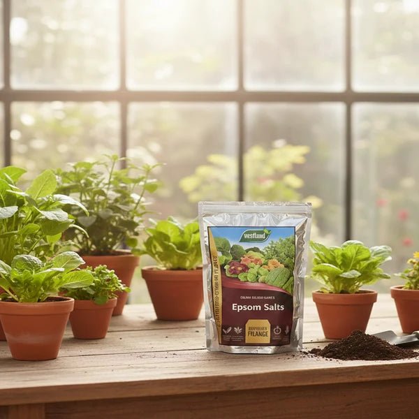 Westland Epsom Salts 500g – Magnesium Plant Supplement - Win Bachat
