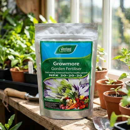 Westland Growmore NPK 20-20-20 Garden Fertiliser 500g - Win Bachat