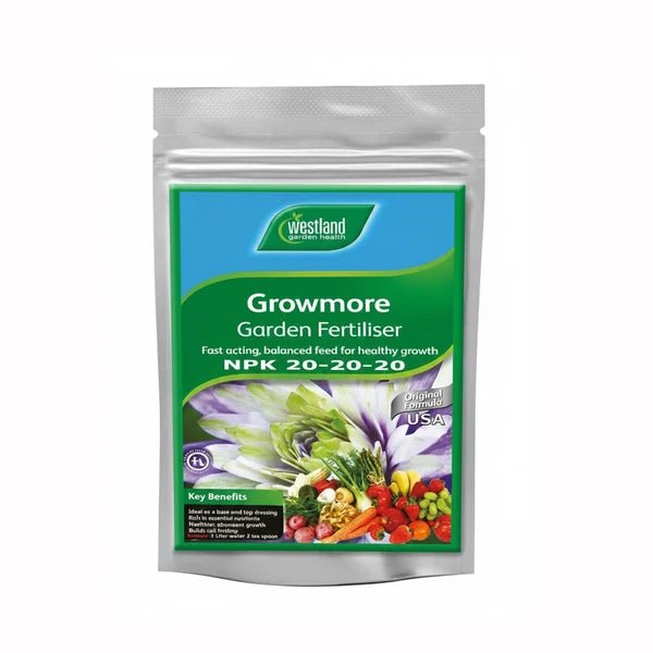 Westland Growmore NPK 20-20-20 Garden Fertiliser 500g - Win Bachat